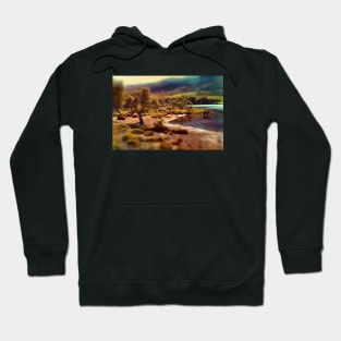 Waters Edge Hoodie